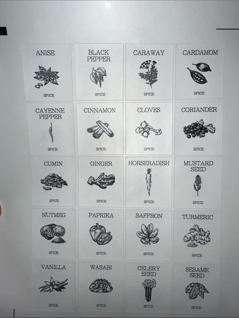 Apothecary— Botanical Style Spice Labels